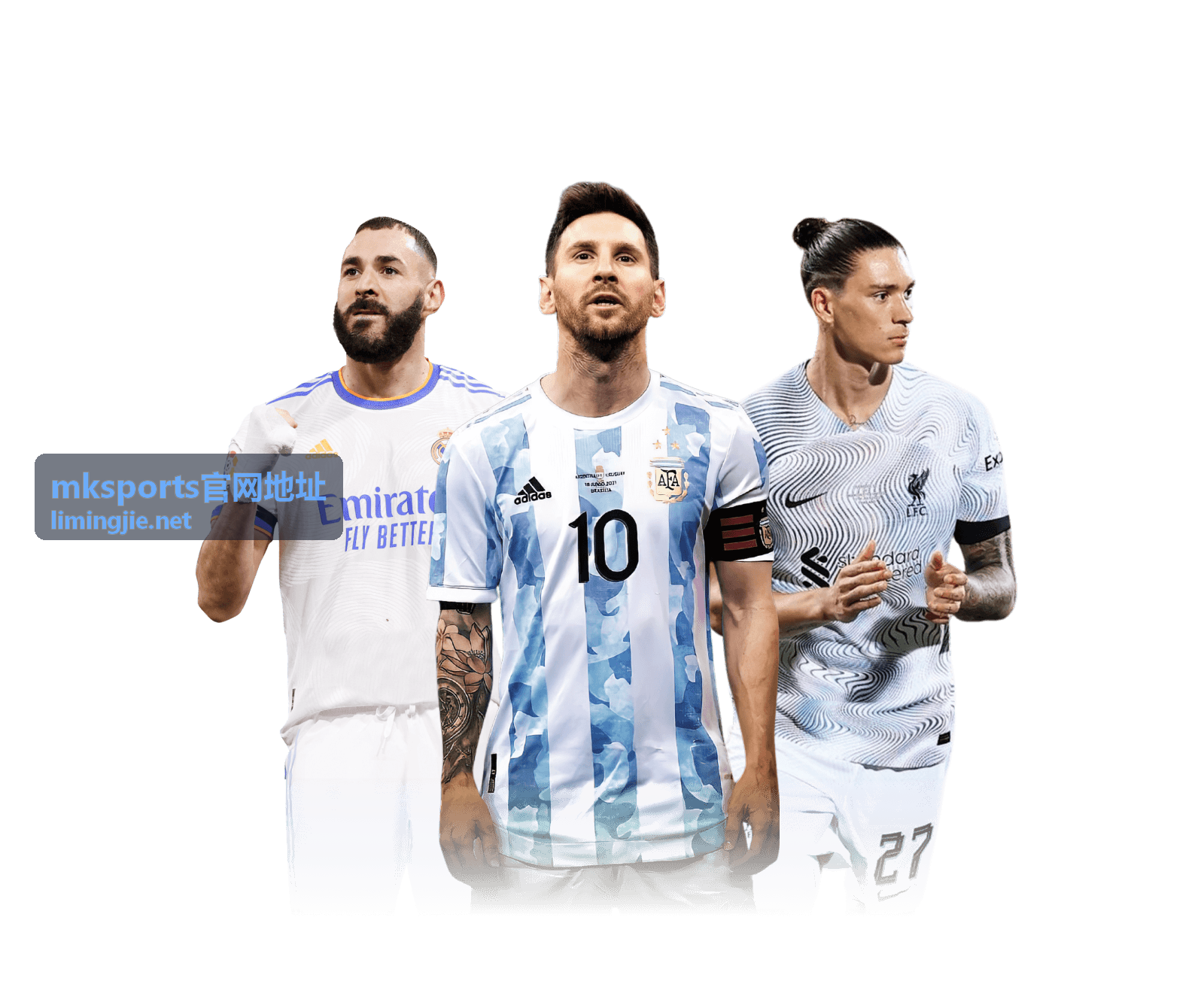 mksports官网地址入口自查要点配图
