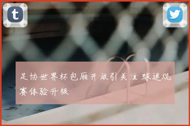 足协世界杯包厢开放引关注 球迷观赛体验升级